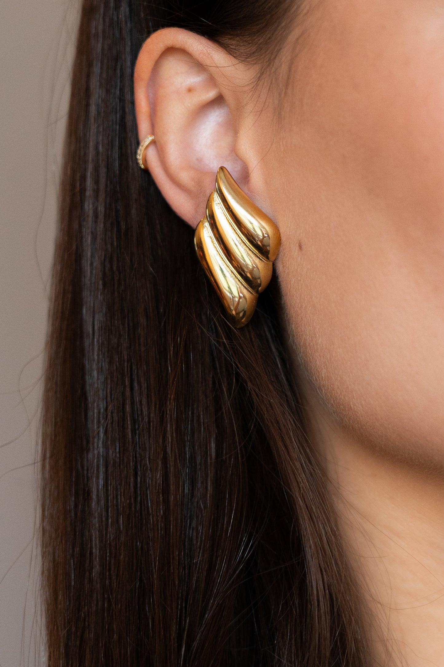 Golden Wings Earrings