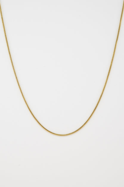 Thin Basic Golden Necklace