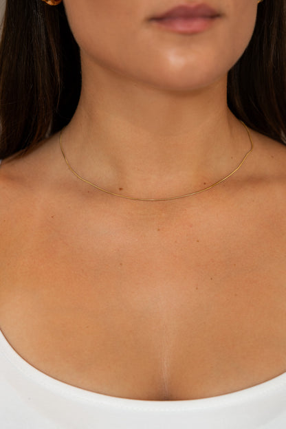 Thin Basic Golden Necklace